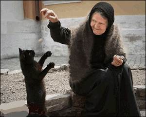 old-woman-feeding-black-cat