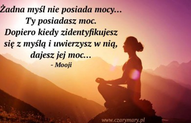 http://www.blog.czarymary.pl/wp-content/uploads/2016/02/12400975_10153873785142277_2427030340778653217_n-390x250.jpg